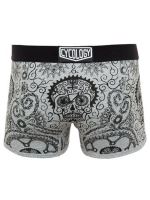 Day of the Living Boxers (šedá)  vel.M