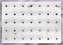 Shelter Wheel KIT