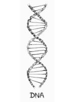 DNA Blue (1)