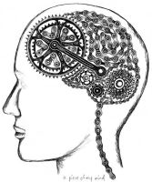 Bike Brain vel.XL (1)