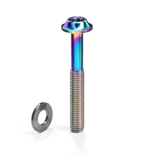 Titanový šroub pro třmeny Flat Mount Rainbow M5